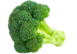 Broccoli