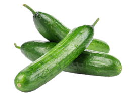 Cucumber