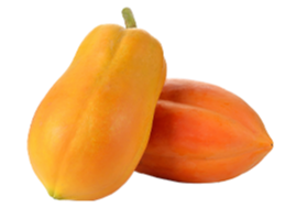 Papaya