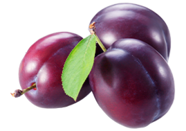 Plum